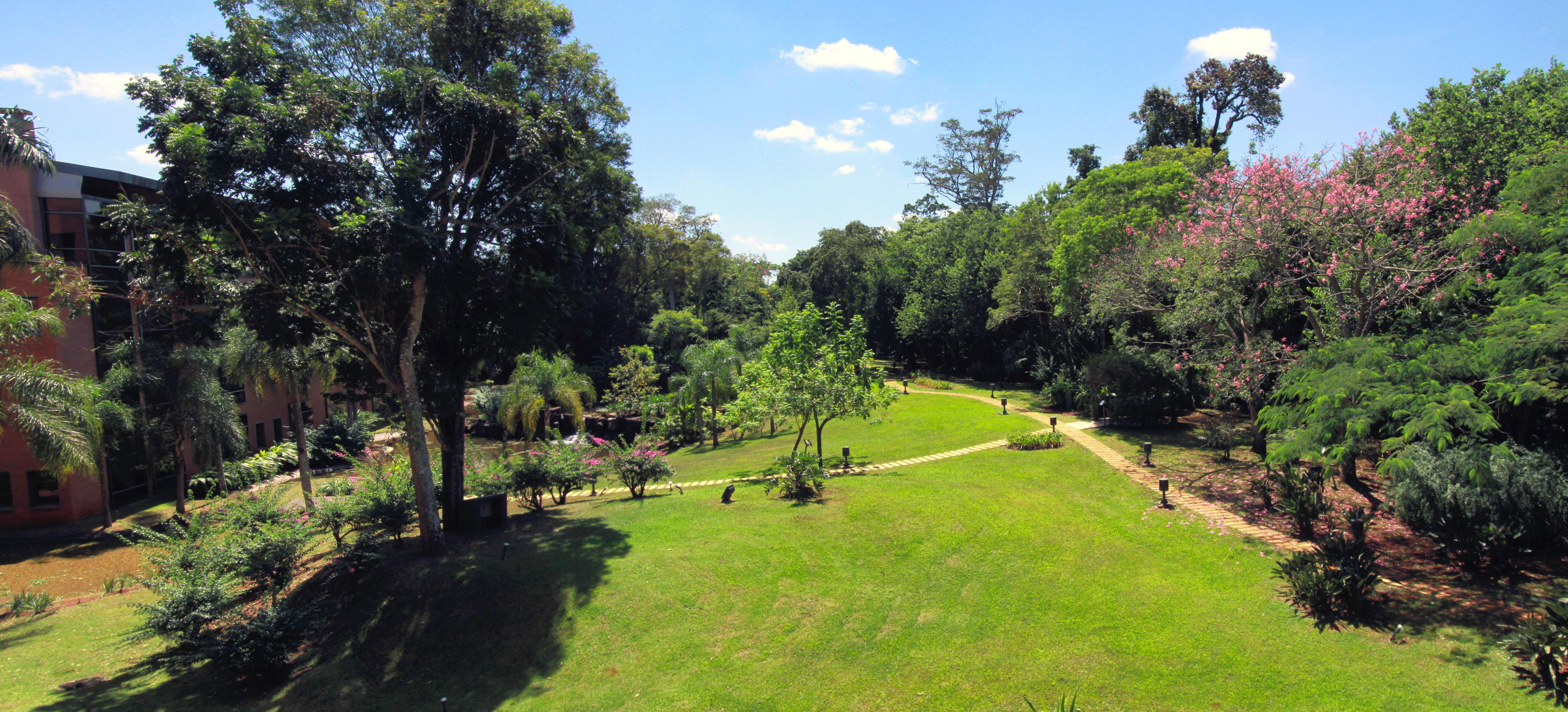 Iguazu Grand Resort Spa & Casino Πουέρτο Ιγκουασού Εξωτερικό φωτογραφία